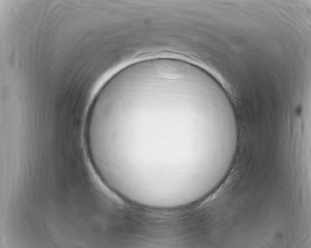 X0000094181518200710260920