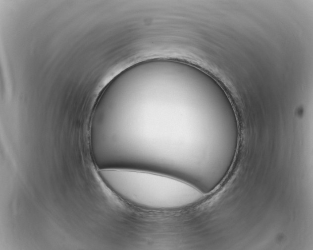 X0000094181521200710260920