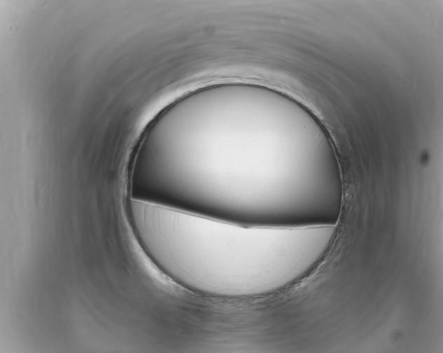 X0000094181523200710260920