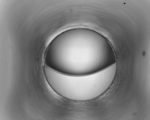 X0000094181524200710260920