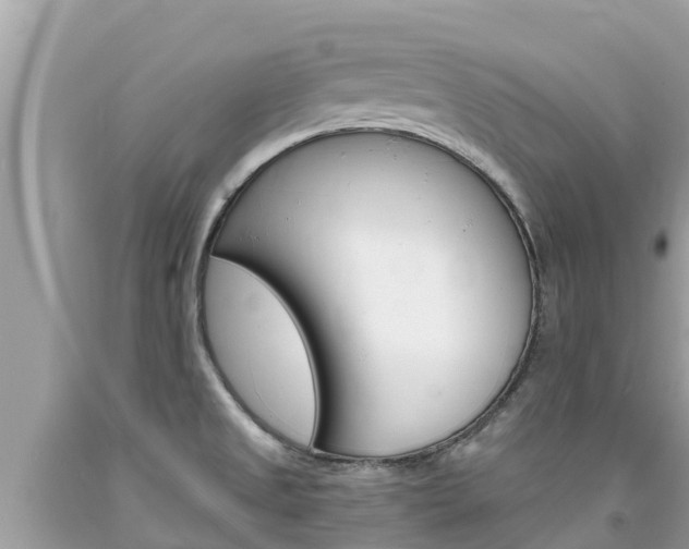 X0000094181525200710260920