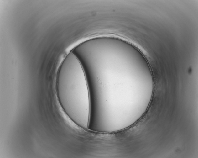 X0000094181526200710260920