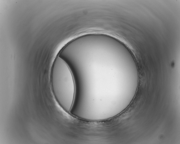 X0000094181527200710260920