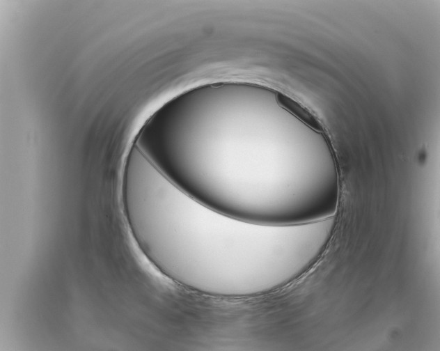 X0000094181528200710260920