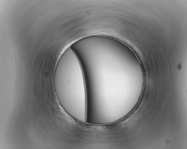 X0000094181529200710260920