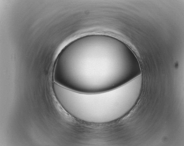 X0000094181530200710260920