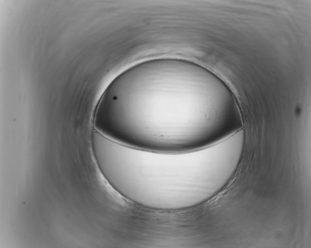 X0000094181532200710260920