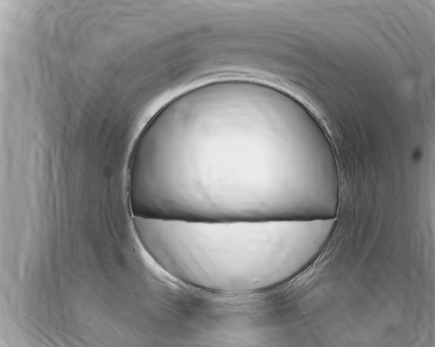 X0000094181535200710260920