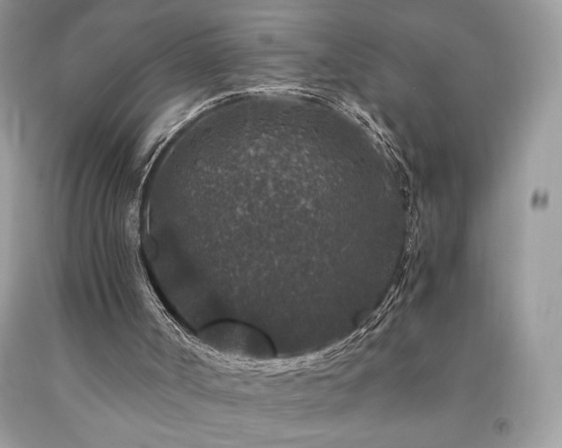 X0000094180002200710261141