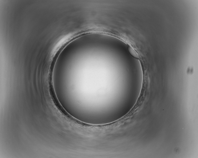 X0000094180007200710261141