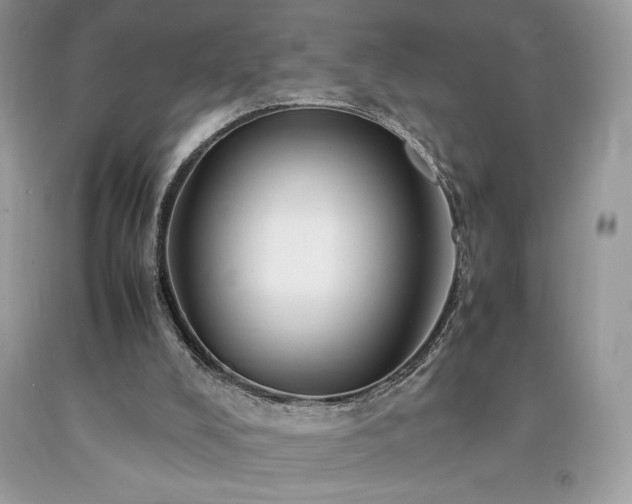 X0000094180008200710261141