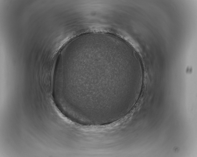 X0000094180009200710261141