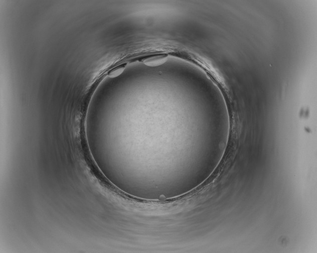 X0000094180010200710261141