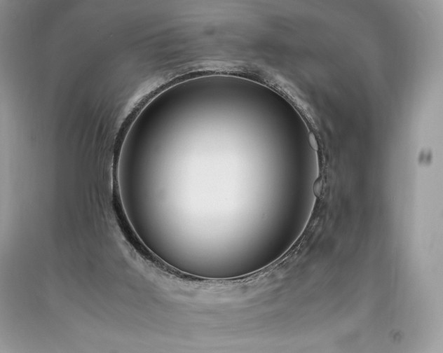 X0000094180011200710261141