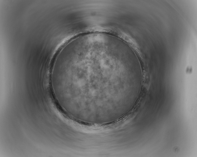 X0000094180012200710261141