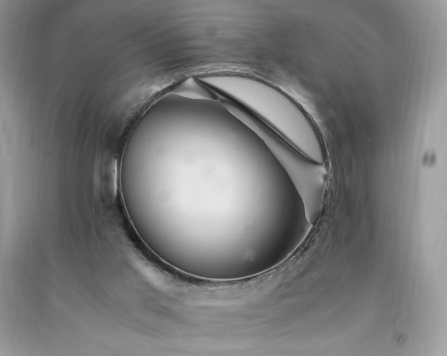 X0000094180013200710261141