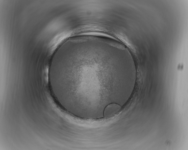 X0000094180014200710261141