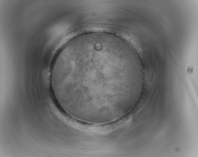X0000094180016200710261141