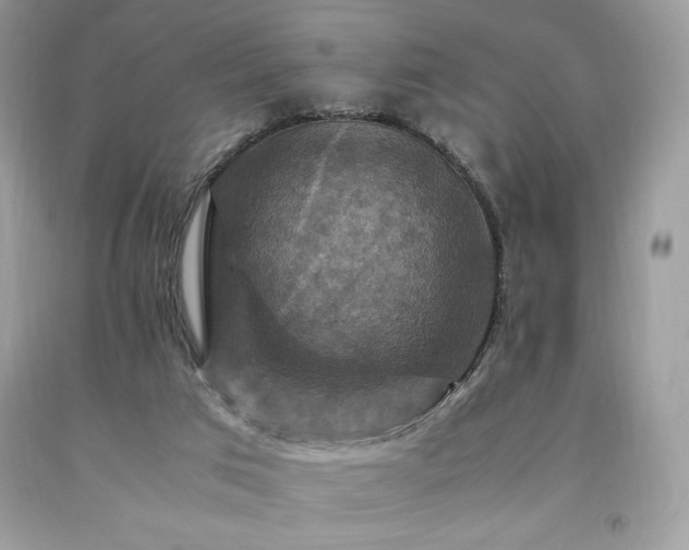 X0000094180017200710261141