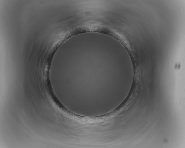 X0000094180018200710261141