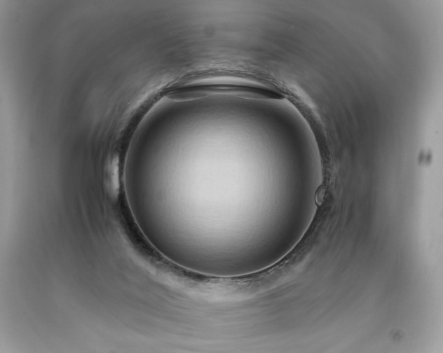 X0000094180020200710261141