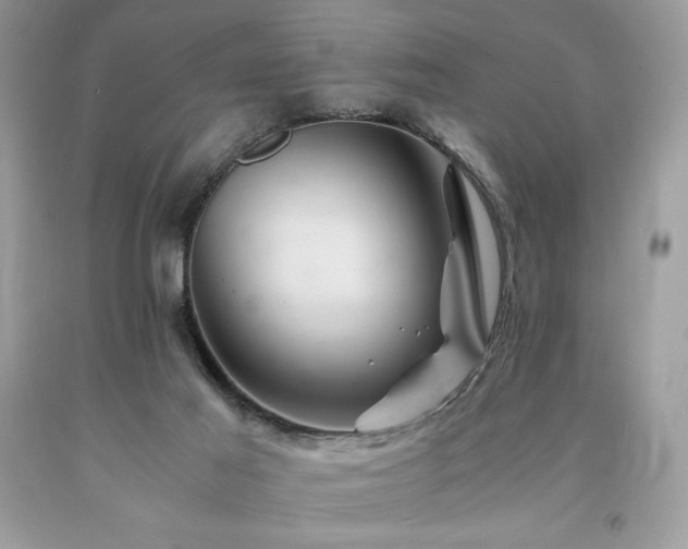 X0000094180021200710261141