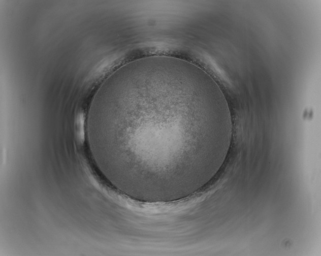 X0000094180022200710261141