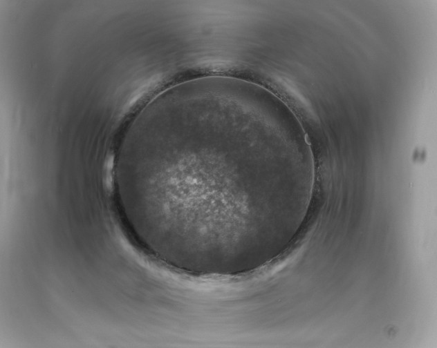 X0000094180024200710261141