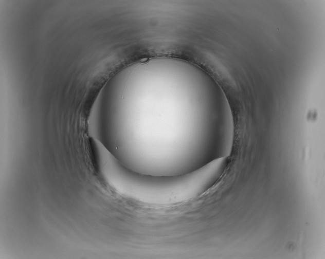 X0000094180025200710261141