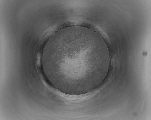 X0000094180026200710261141