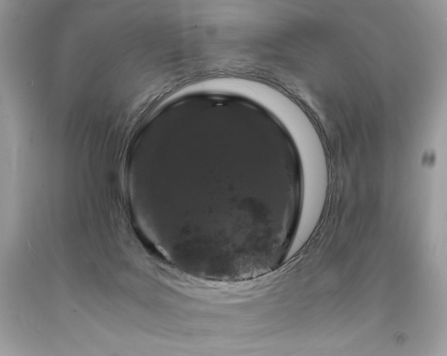 X0000094180027200710261141