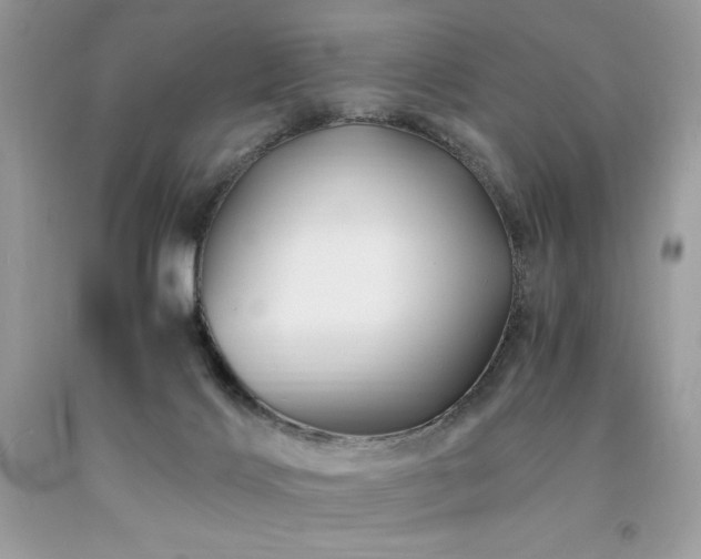 X0000094180028200710261141