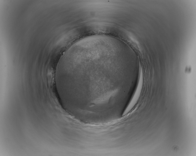 X0000094180029200710261141
