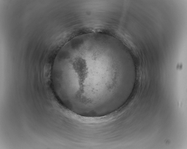 X0000094180030200710261141