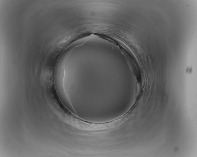 X0000094180031200710261141