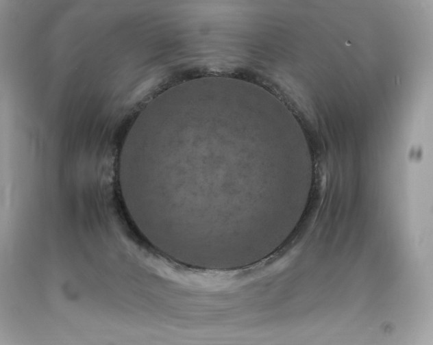 X0000094180032200710261141