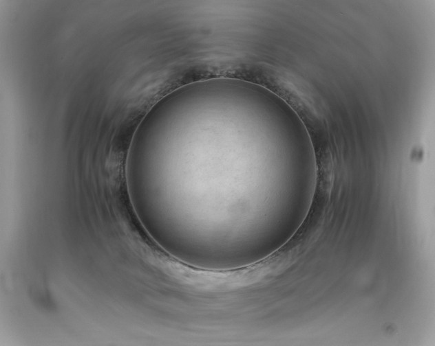 X0000094180034200710261141