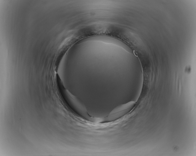 X0000094180035200710261141