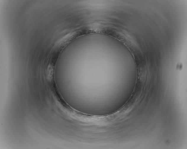 X0000094180036200710261141