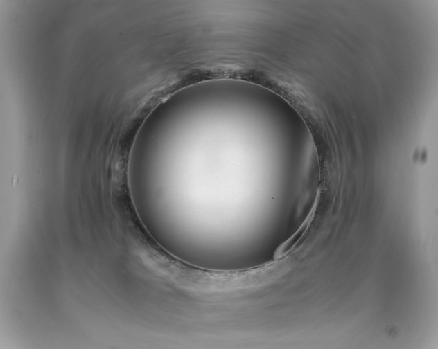X0000094180037200710261141