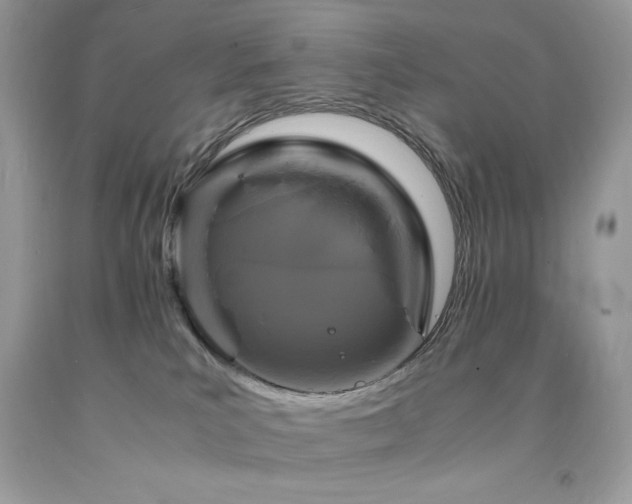 X0000094180039200710261141
