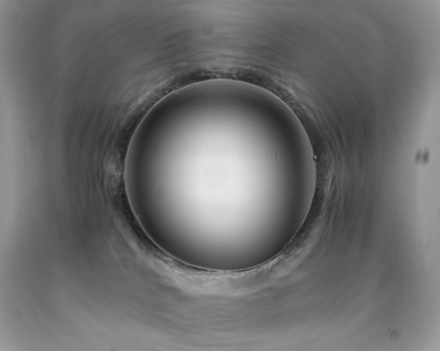 X0000094180040200710261141
