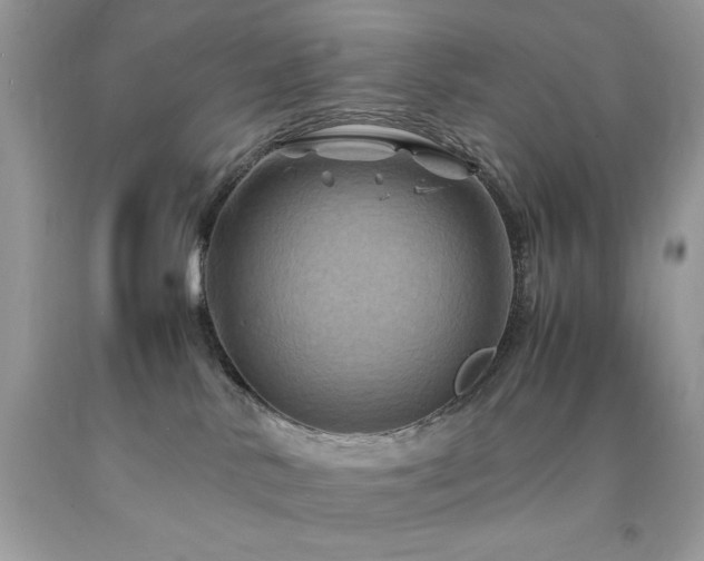 X0000094180042200710261141