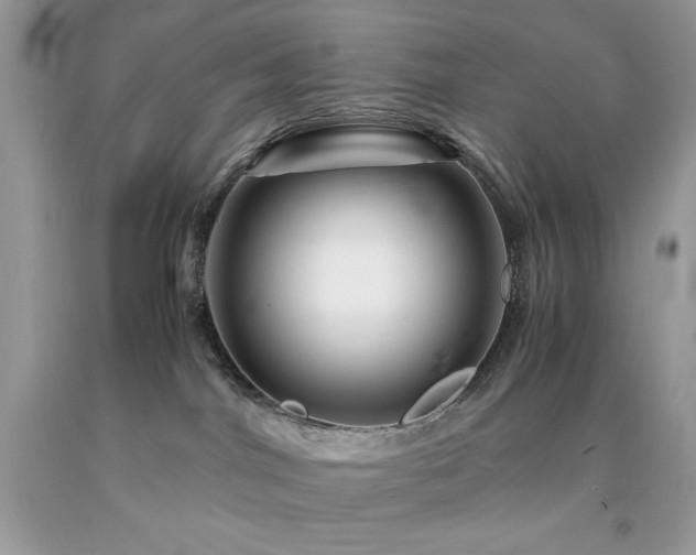 X0000094180044200710261141