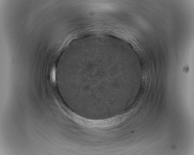 X0000094180046200710261141