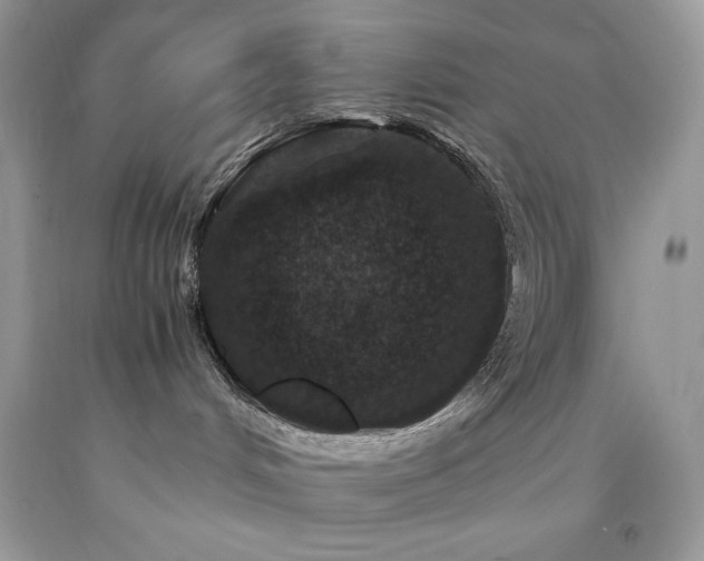 X0000094180048200710261141