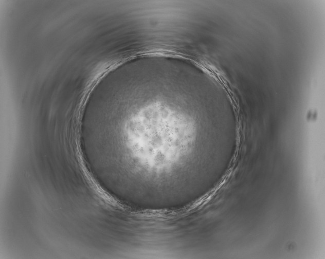 X0000094180049200710261140