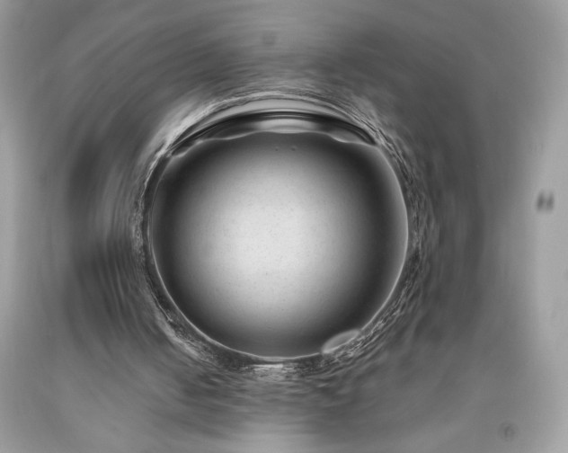 X0000094180050200710261140