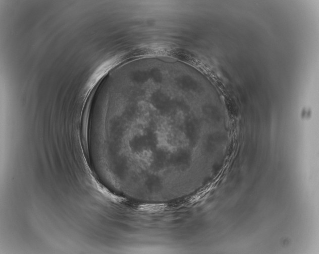 X0000094180051200710261140
