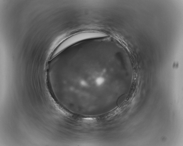 X0000094180053200710261140